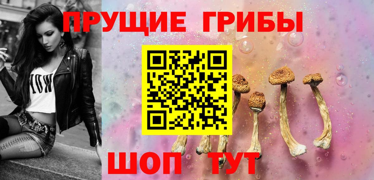 Псилоцибиновые грибы прущие грибы Сургут