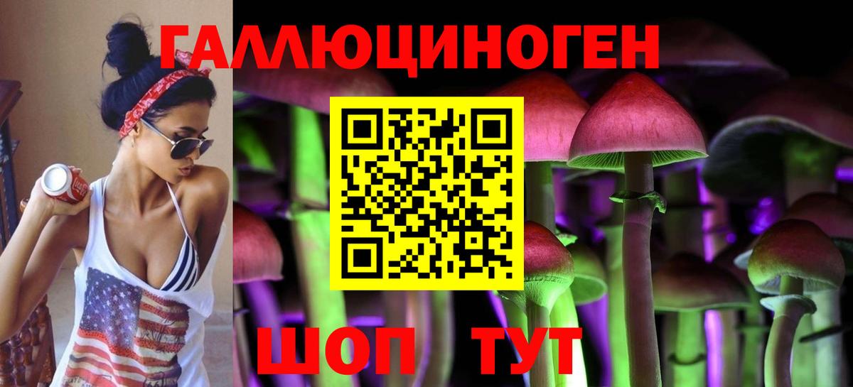 Сургут  Галлюциногенные грибы Psilocybine cubensis  Вход с VPN 